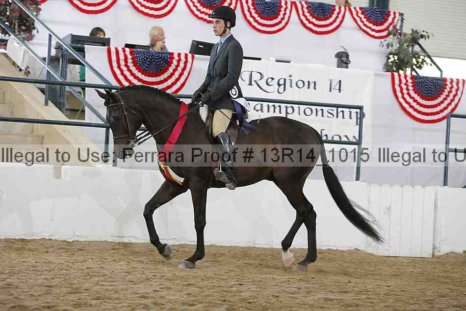 Proof Number 13r14_1015