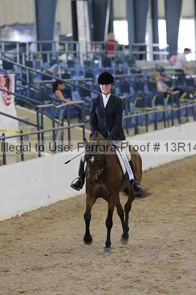 Proof Number 13r14_1016