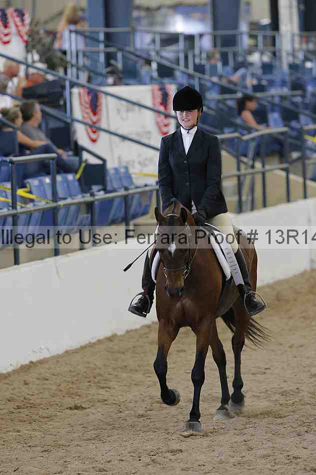 Proof Number 13r14_1017