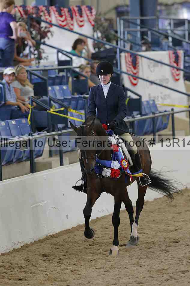 Proof Number 13r14_1022