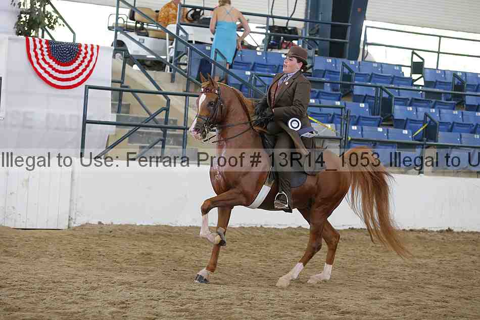 Proof Number 13r14_1053