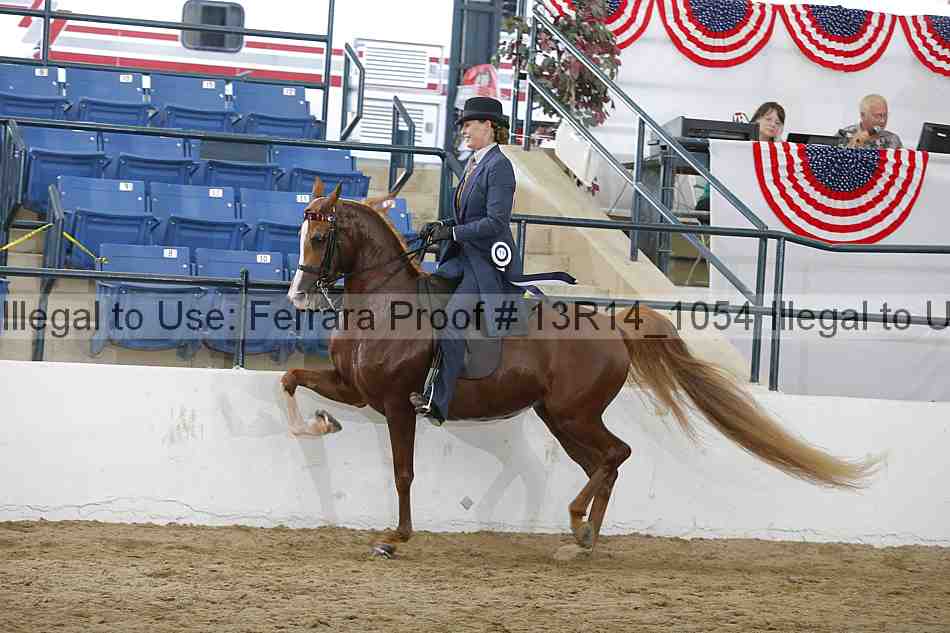Proof Number 13r14_1054