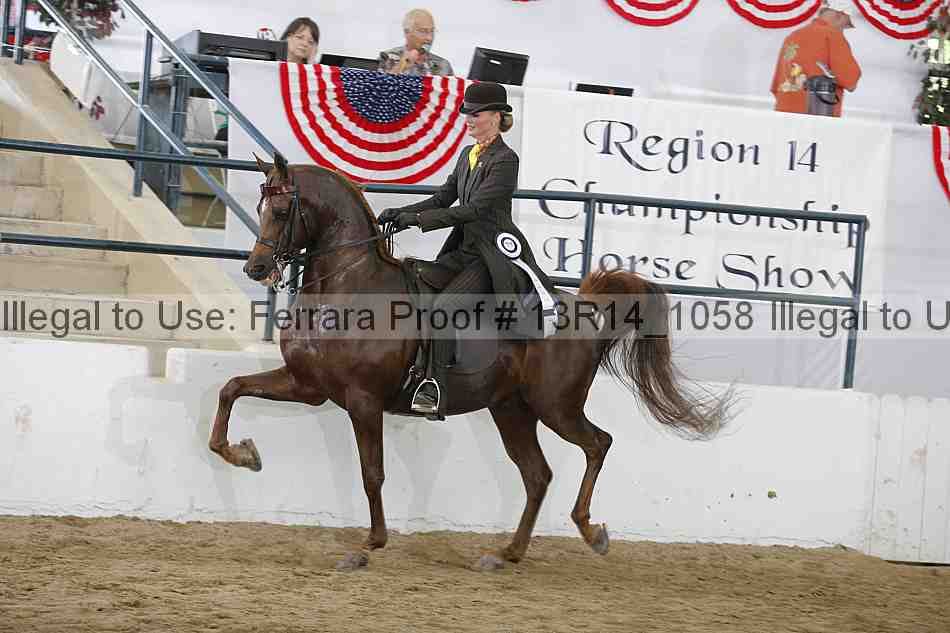 Proof Number 13r14_1058
