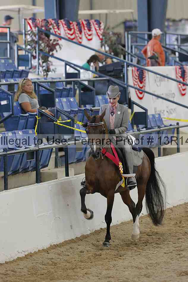 Proof Number 13r14_1063