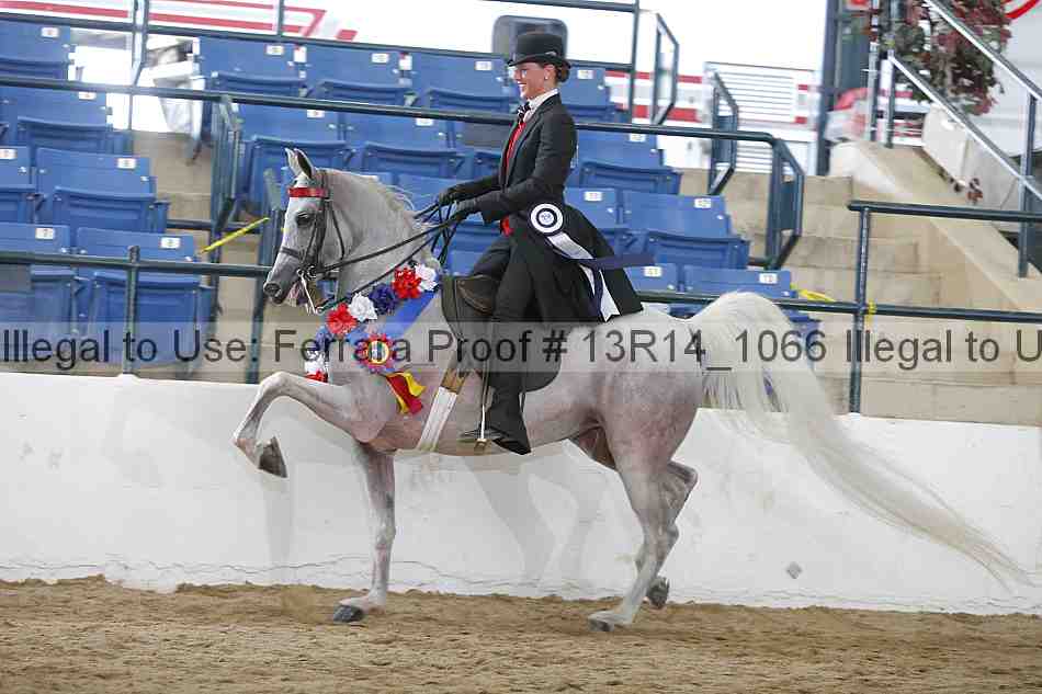Proof Number 13r14_1066