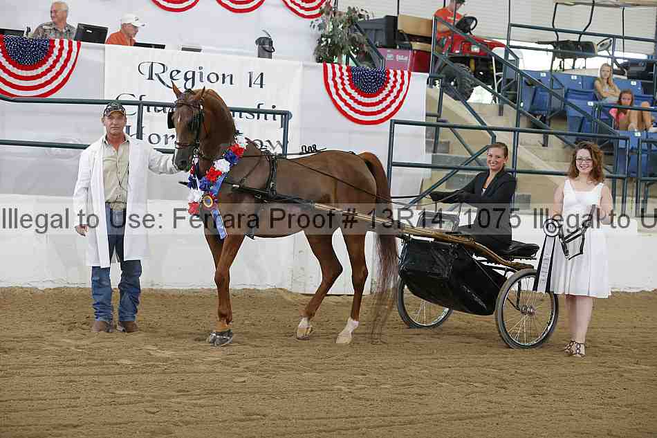 Proof Number 13r14_1075