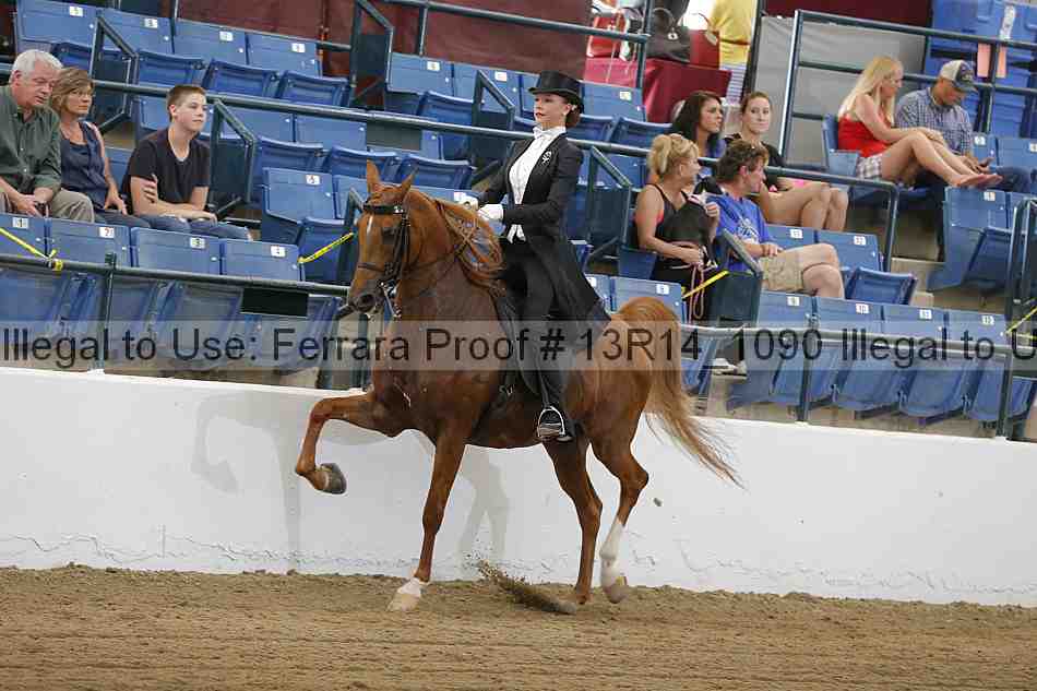 Proof Number 13r14_1090