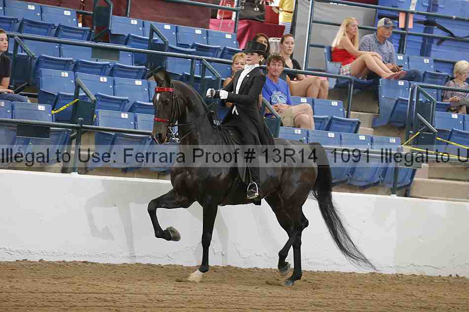 Proof Number 13r14_1091