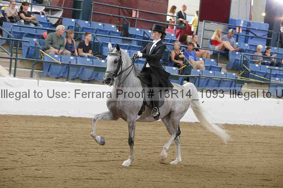 Proof Number 13r14_1093