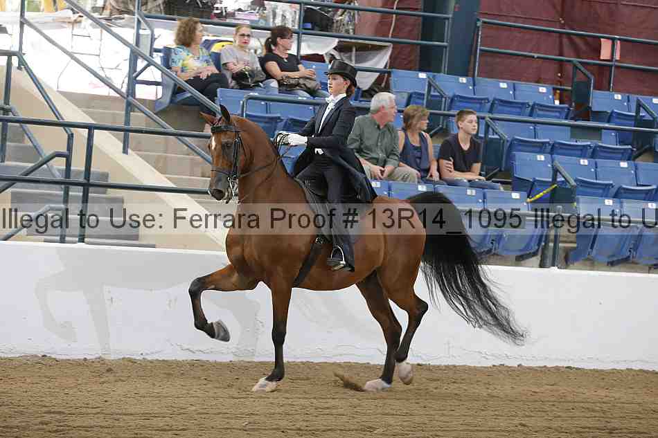 Proof Number 13r14_1095