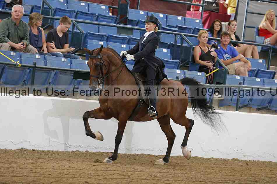 Proof Number 13r14_1096