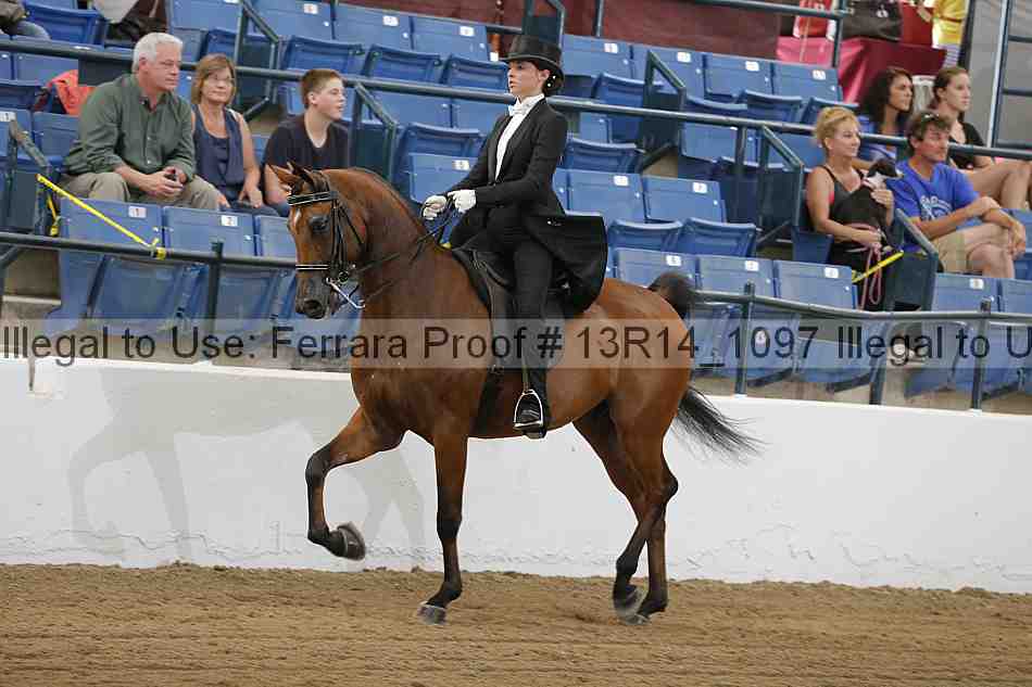 Proof Number 13r14_1097