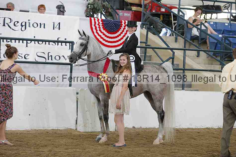 Proof Number 13r14_1098