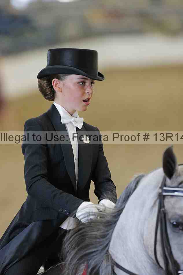 Proof Number 13r14_1104
