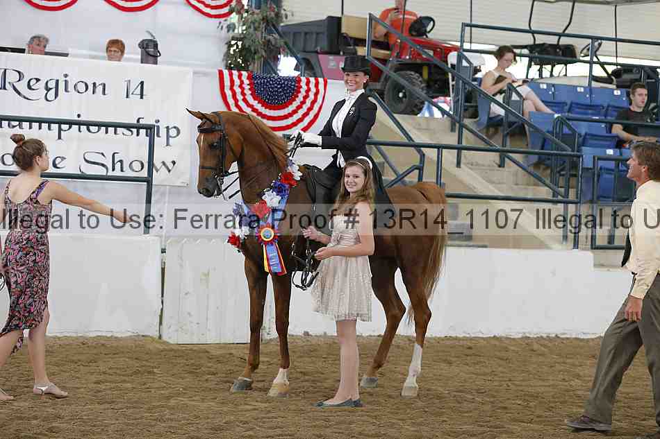 Proof Number 13r14_1107