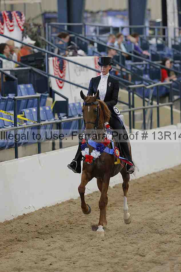 Proof Number 13r14_1109