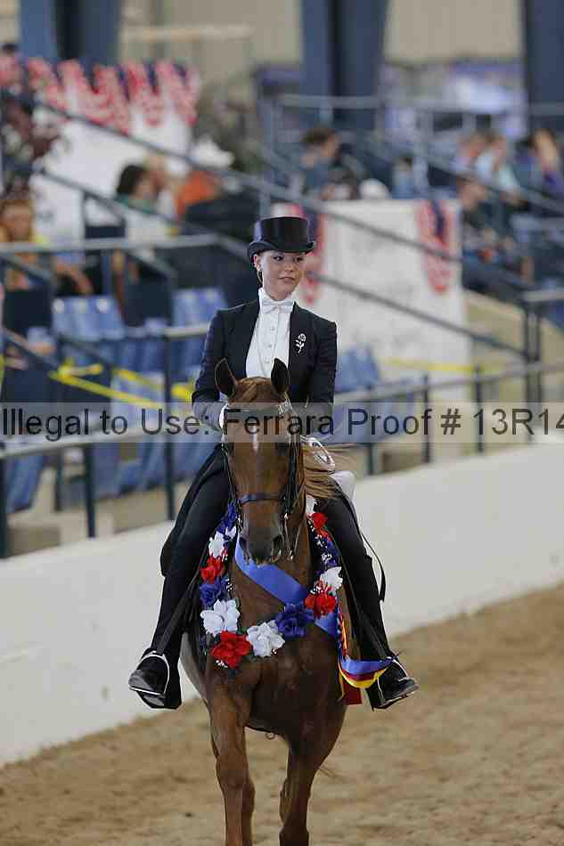Proof Number 13r14_1110