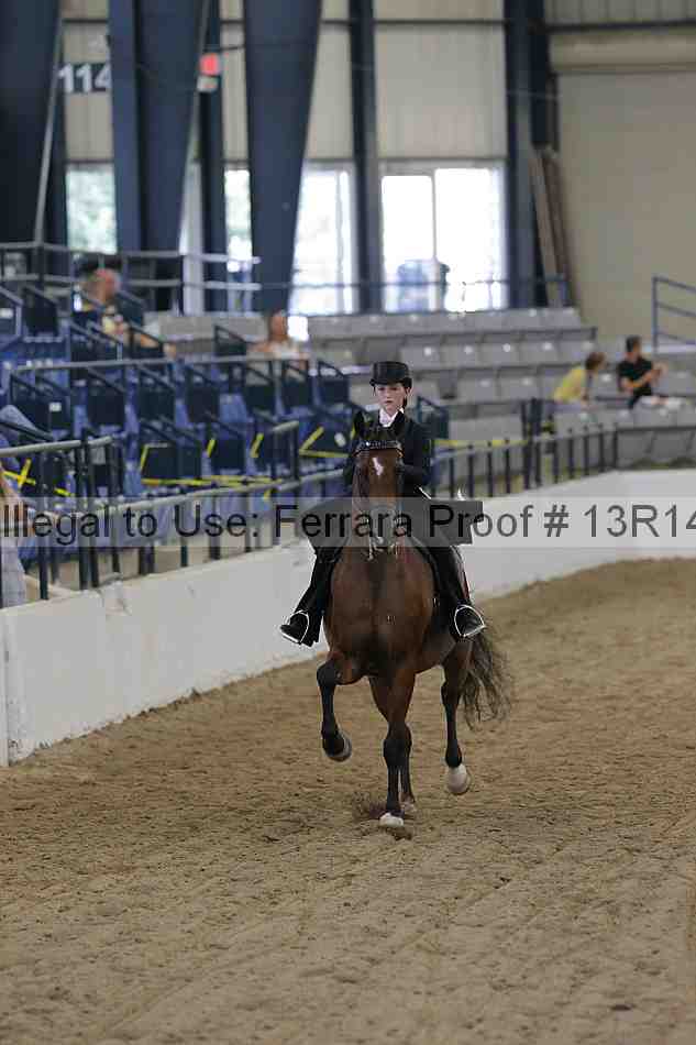 Proof Number 13r14_1114