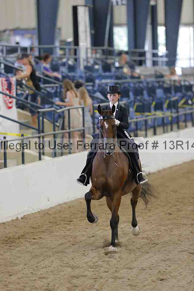 Proof Number 13r14_1115