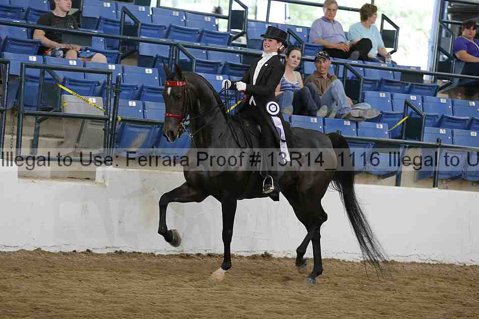 Proof Number 13r14_1116