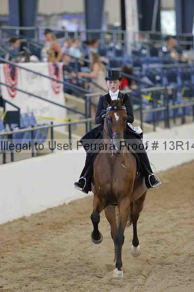 Proof Number 13r14_1117