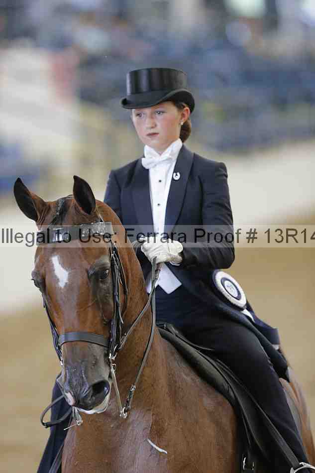Proof Number 13r14_1120
