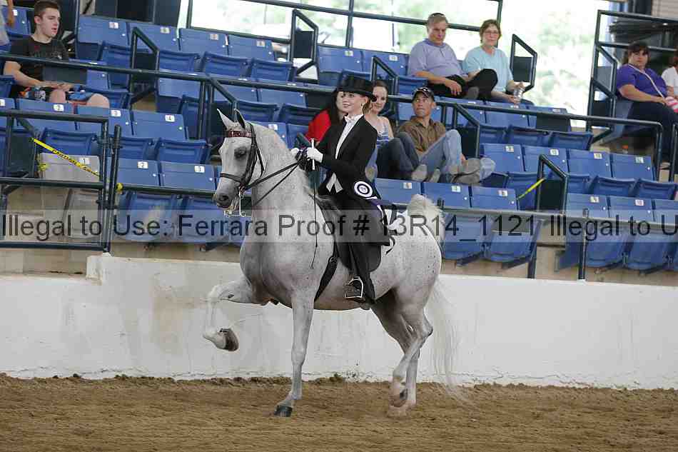 Proof Number 13r14_1121