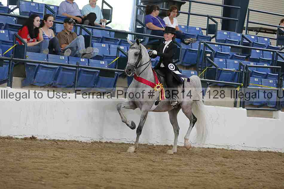 Proof Number 13r14_1128