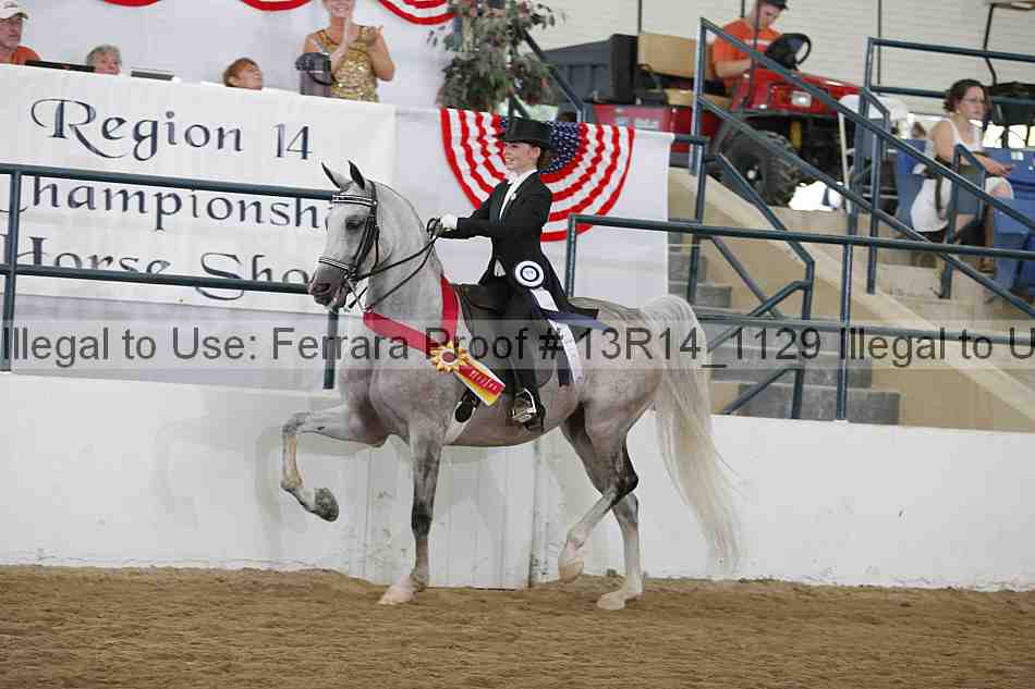 Proof Number 13r14_1129