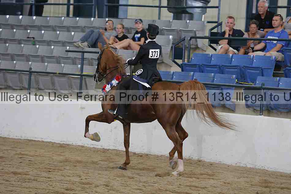 Proof Number 13r14_1138