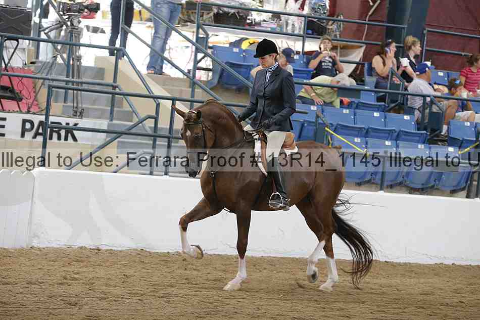 Proof Number 13r14_1145