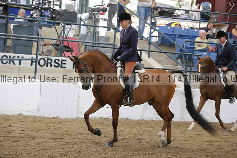 Proof Number 13r14_1147