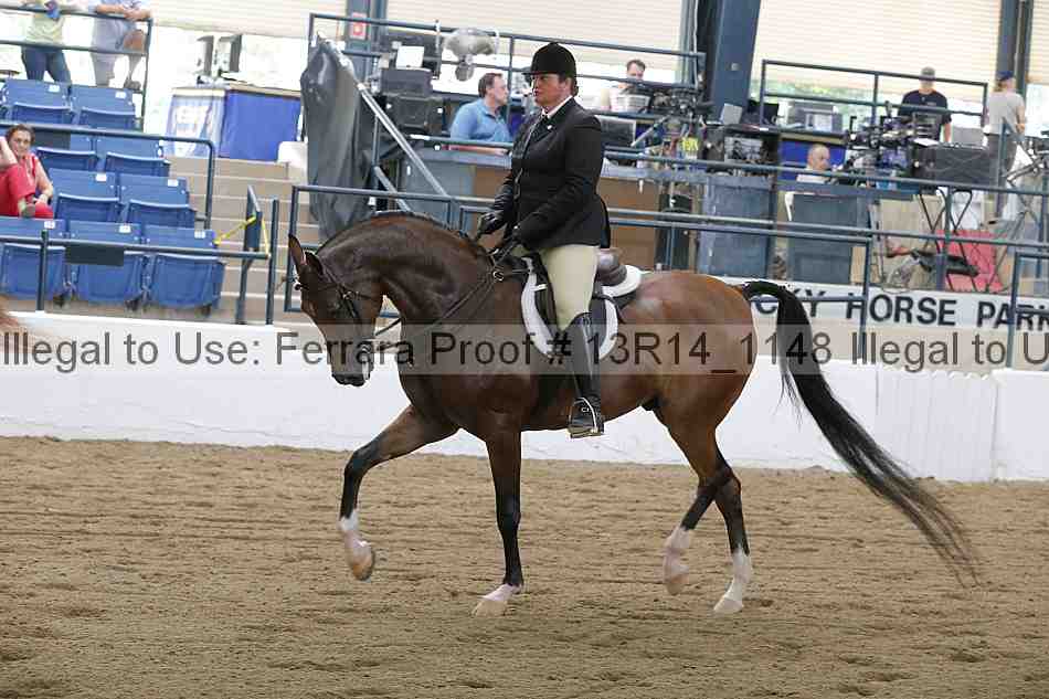 Proof Number 13r14_1148