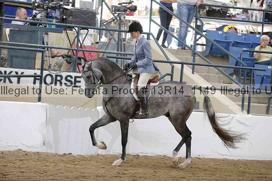 Proof Number 13r14_1149