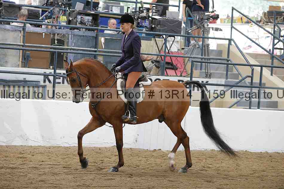 Proof Number 13r14_1159