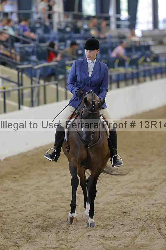 Proof Number 13r14_1163