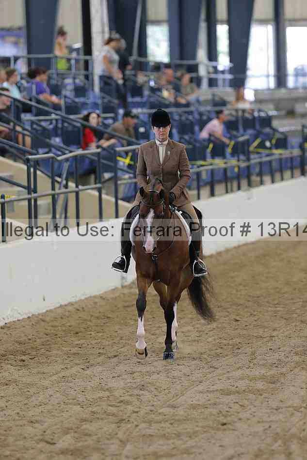 Proof Number 13r14_1164