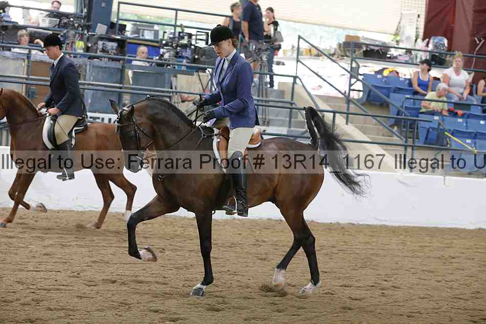 Proof Number 13r14_1167