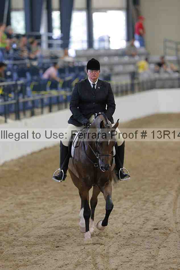 Proof Number 13r14_1169