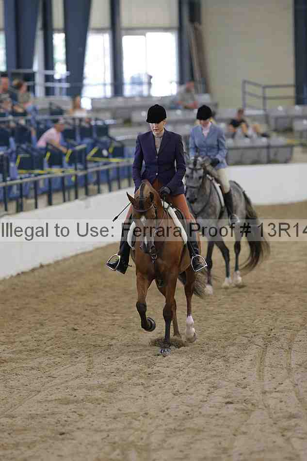 Proof Number 13r14_1170