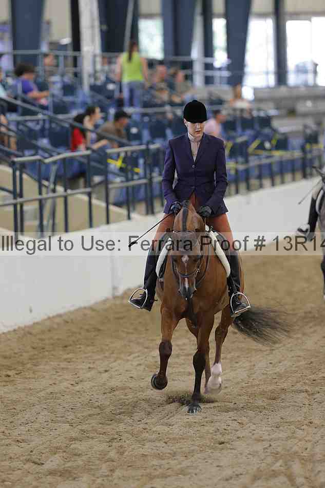 Proof Number 13r14_1171