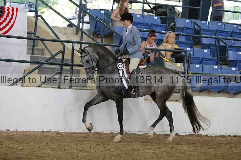 Proof Number 13r14_1175
