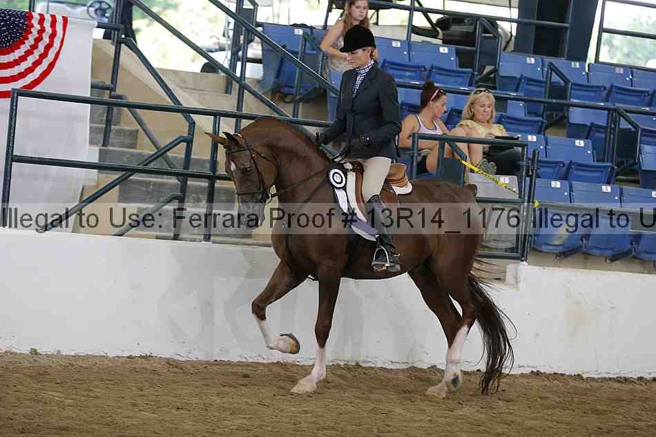 Proof Number 13r14_1176