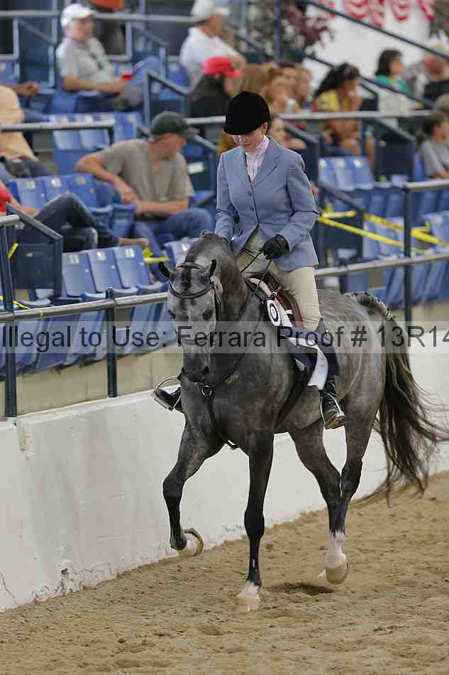Proof Number 13r14_1177