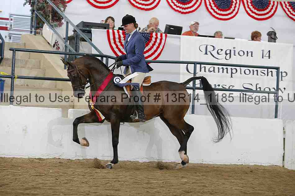 Proof Number 13r14_1185