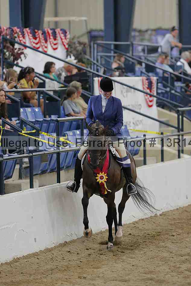 Proof Number 13r14_1187