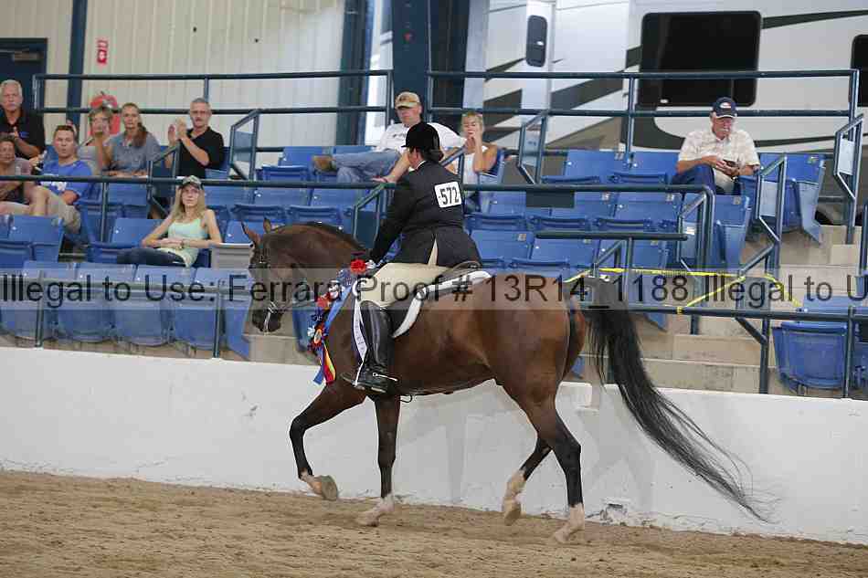 Proof Number 13r14_1188