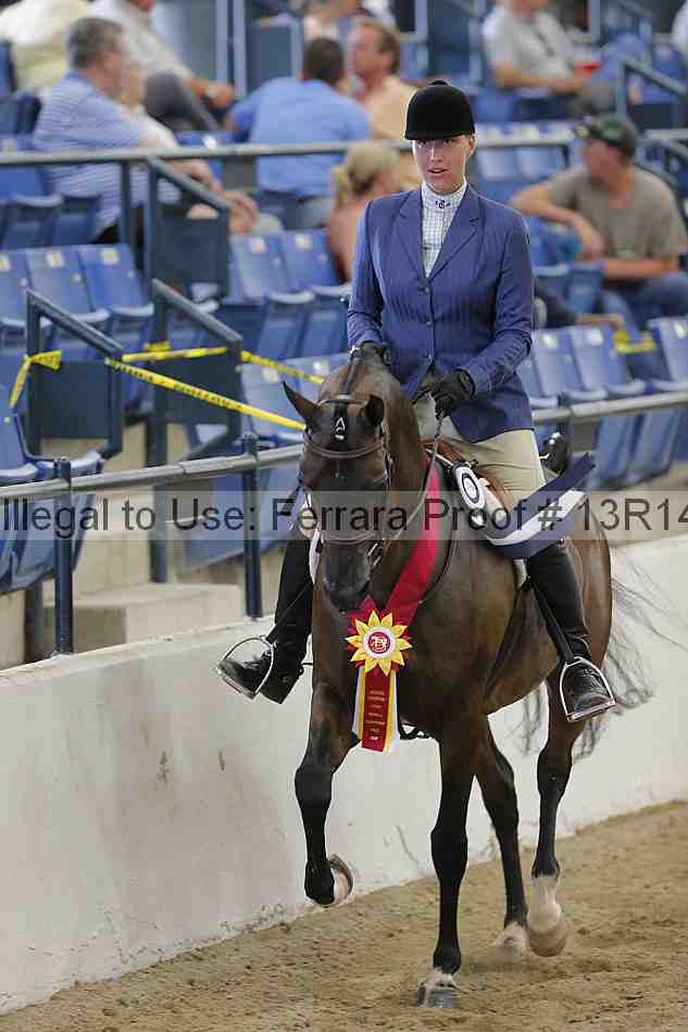 Proof Number 13r14_1189