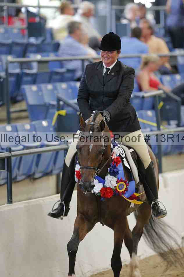 Proof Number 13r14_1190