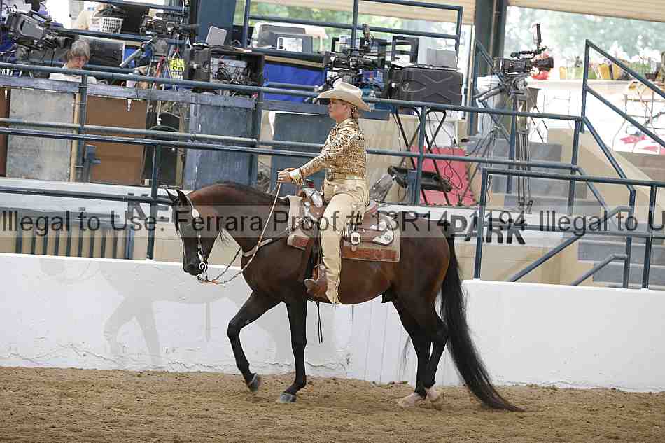 Proof Number 13r14_1194